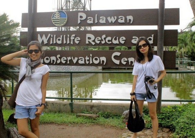 puerto princesa crocodile farm