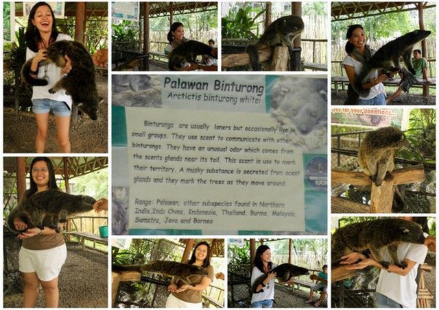puerto princesa crocodile farm