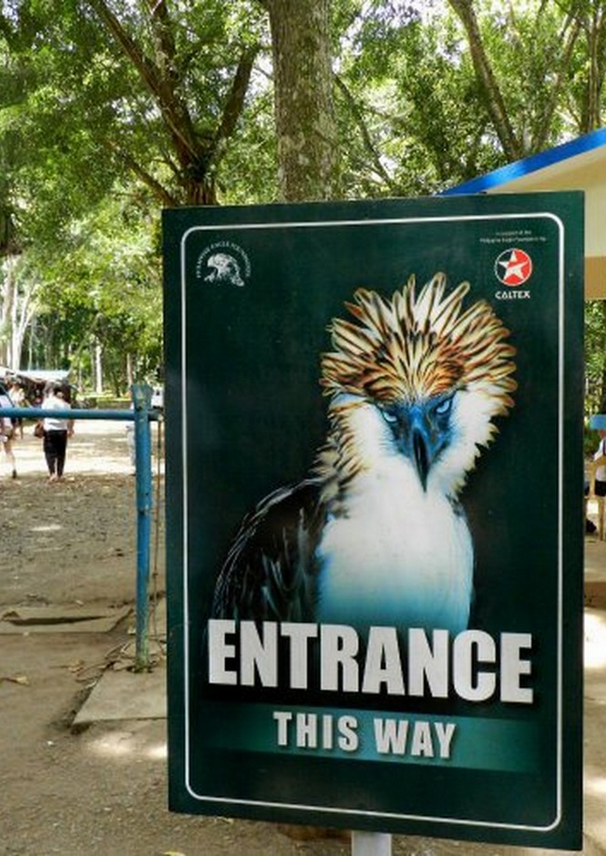 philippine eagle farm