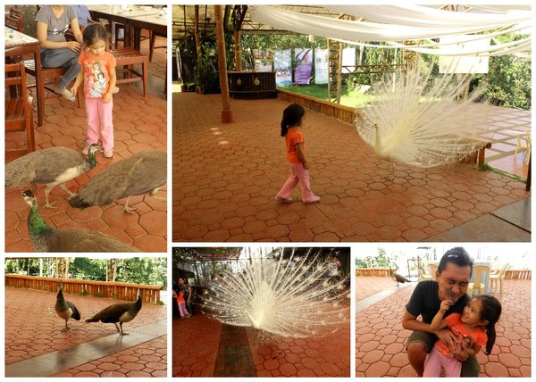 eden nature park & resort