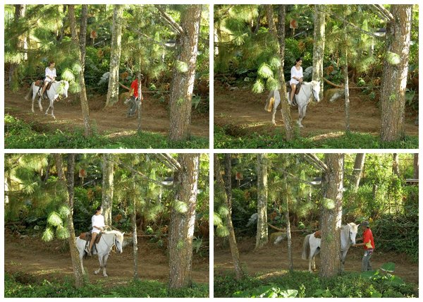 eden nature park & resort