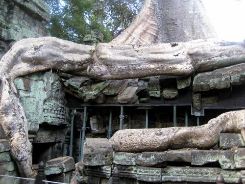 ta prohm