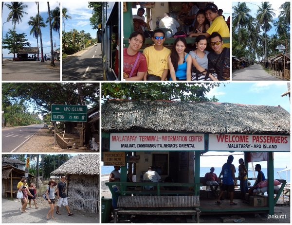 apo island apo island