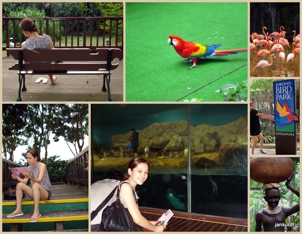 jurong bird park