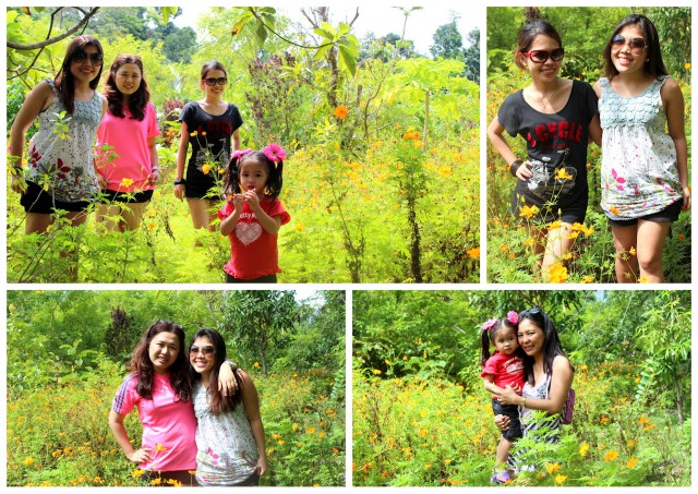 palanas farm and resort