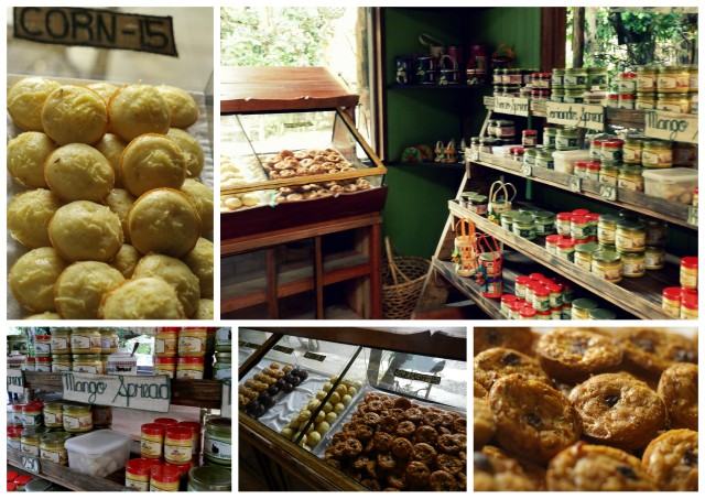 bohol bee farm bohol bee farm