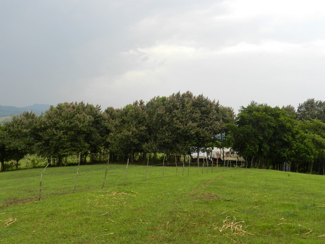 mitra's ranch