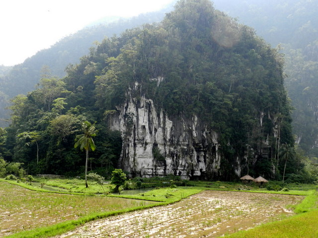 karst mountain elephant cave