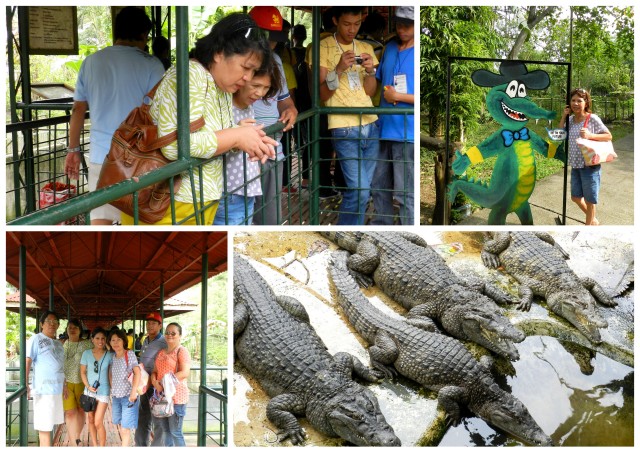 puerto princesa crocodile farm