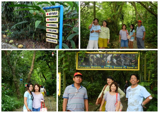 puerto princesa crocodile farm