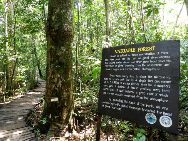 puerto princesa underground river