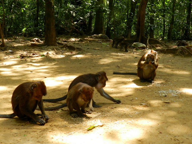puerto princesa underground river
