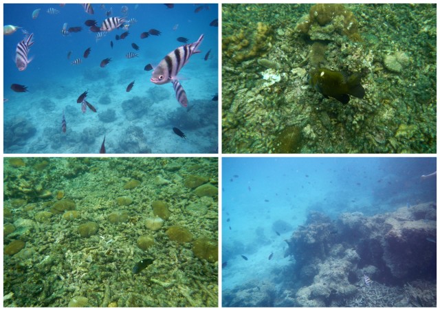 small lagoon, el nido