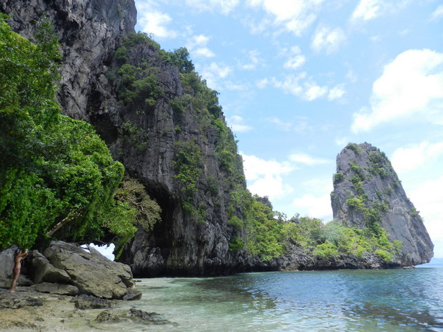 lapus, el nido