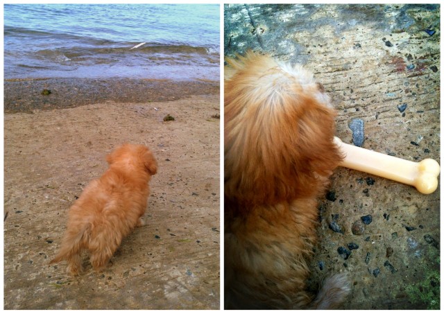 maribago public beach