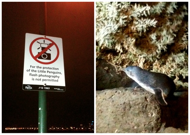 st. kilda breakwater