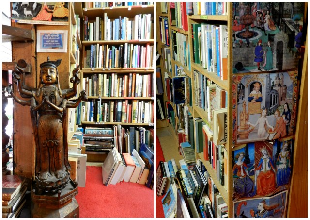 hard to find bookshop, auckland