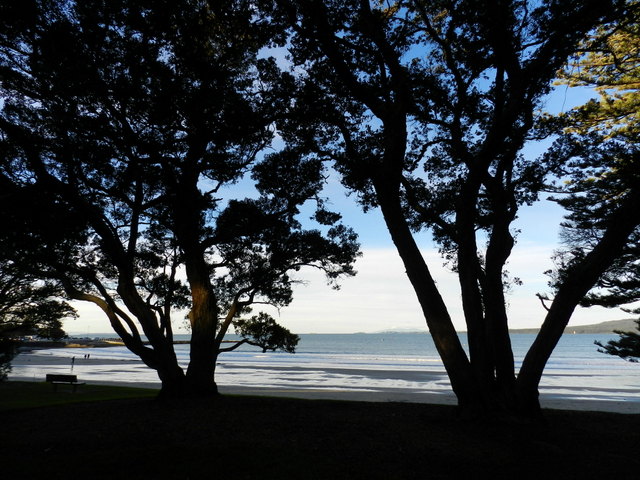 takapuna beach, auckland