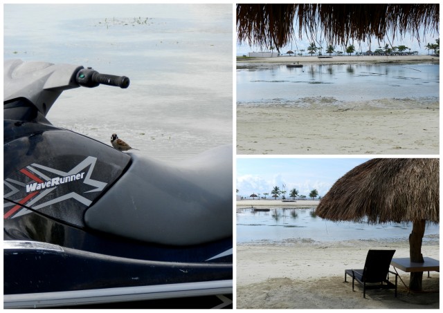 maribago bluewater resort, mactan