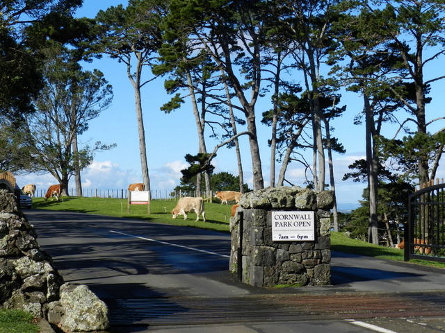cornwall park, auckland