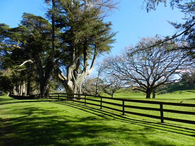 cornwall park, auckland