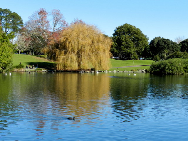 western springs park, auckland