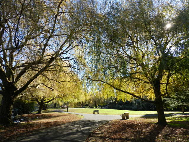 western springs park, auckland