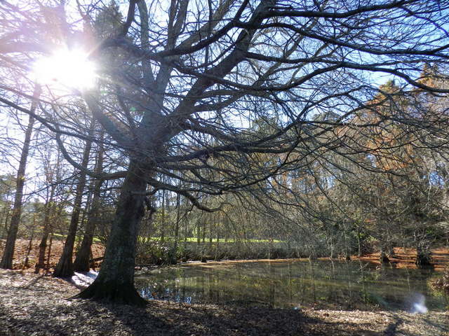western springs park, auckland