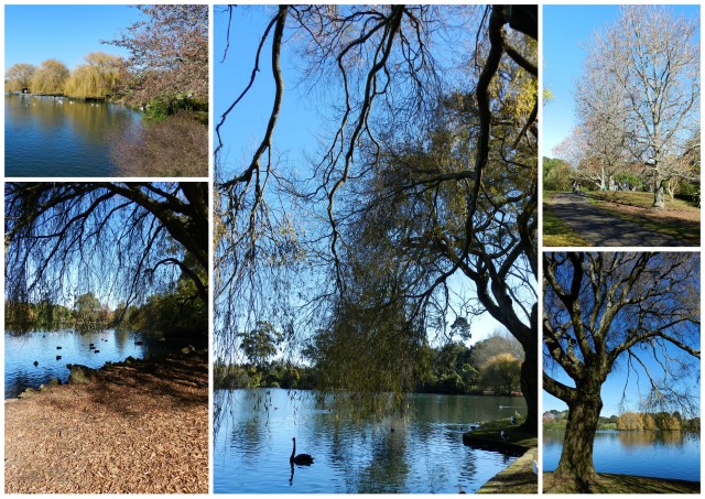 western springs park, auckland