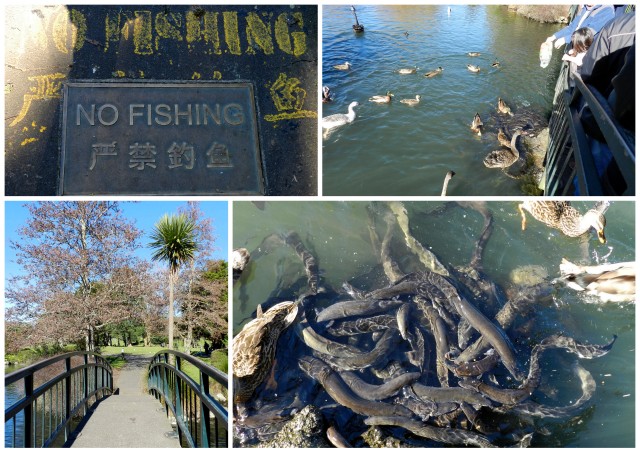 western springs park, auckland