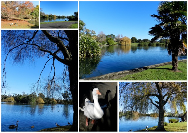 western springs park, auckland