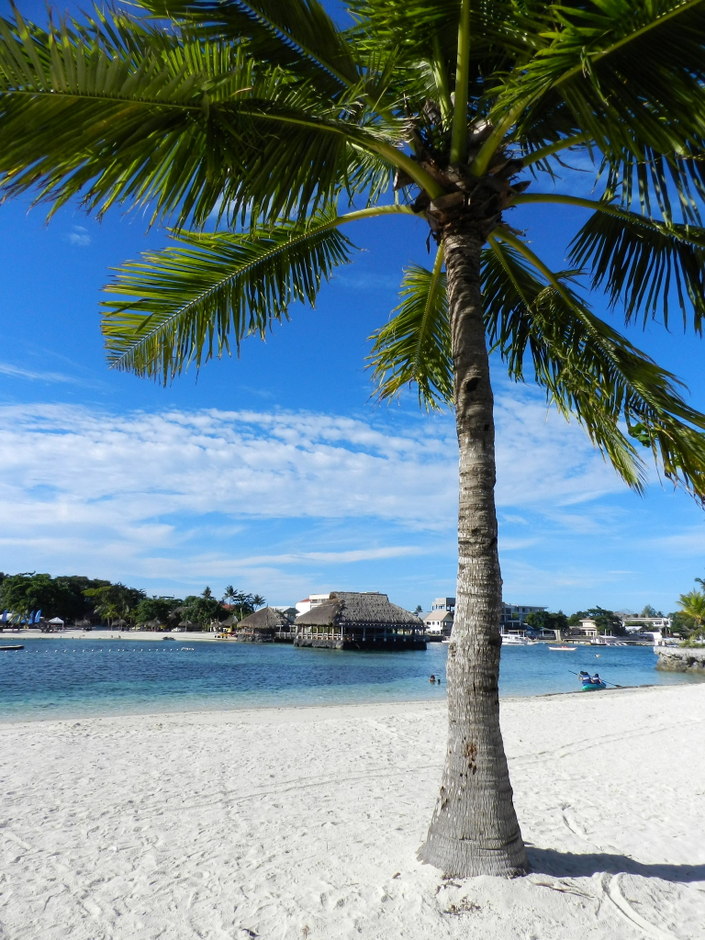 maribago bluewater resort, mactan