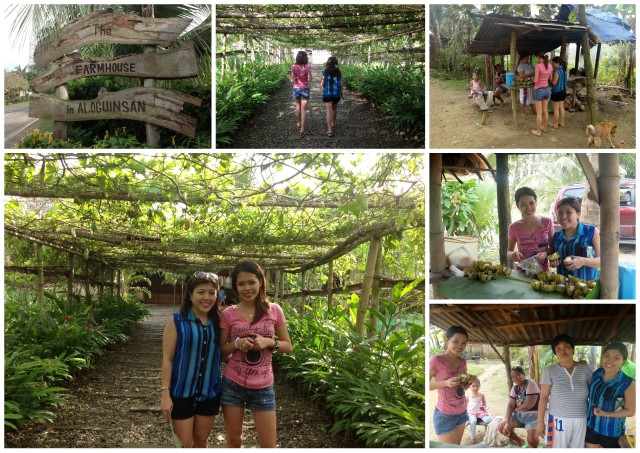 bojo river nature reserve