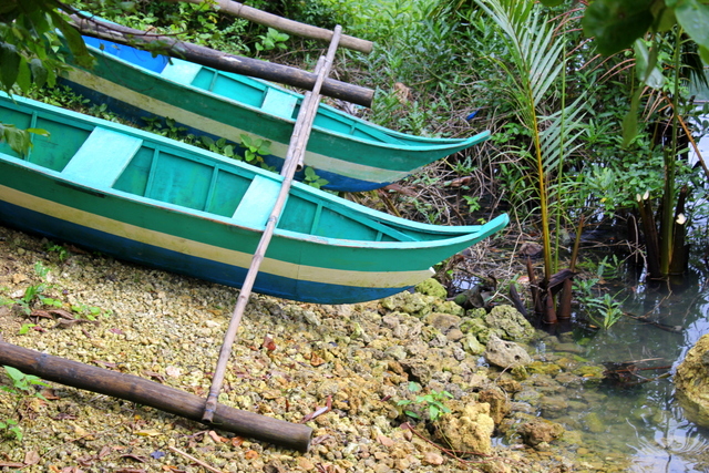 bojo river nature reserve