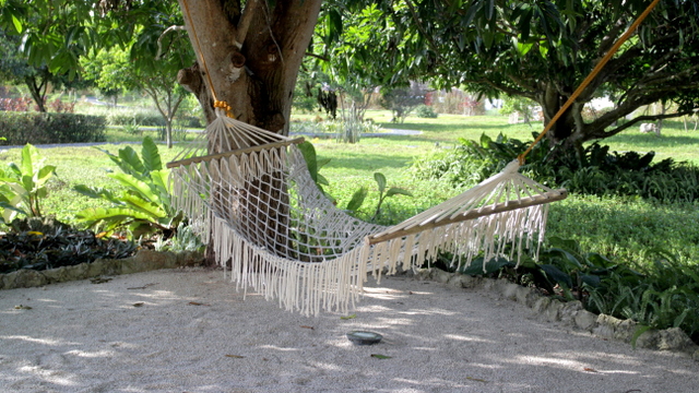 bluewater panglao beach resort