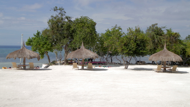 bluewater panglao beach resort