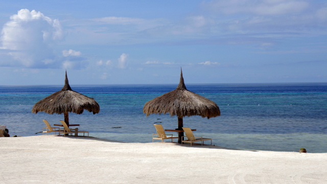 bluewater panglao beach resort