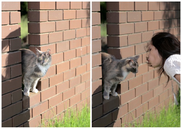 jeff and jan photo shoot