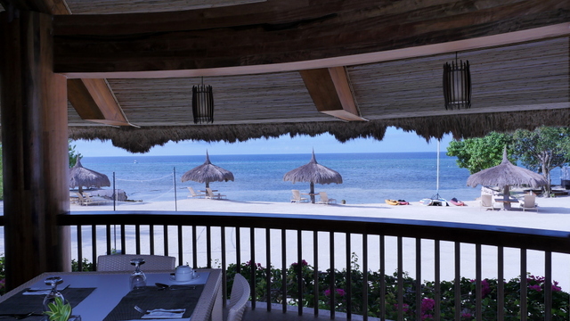 bluewater panglao beach resort