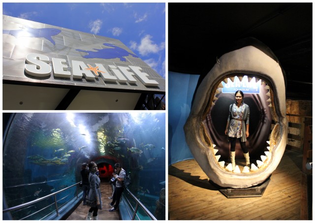 sea life melbourne aquarium