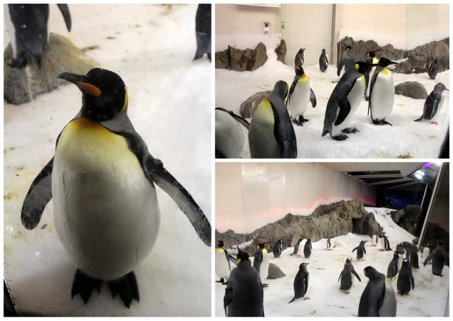 sea life melbourne aquarium