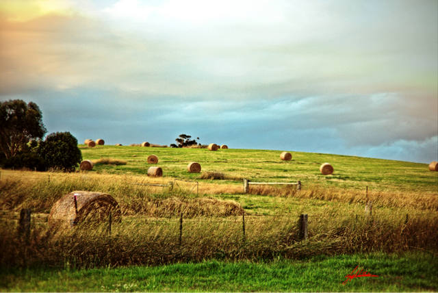 mornington peninsula