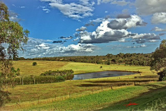 mornington pensinsula