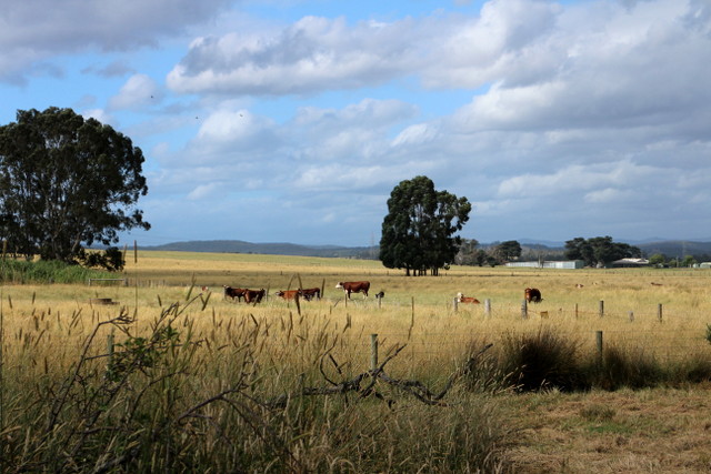 koo wee rup, victoria