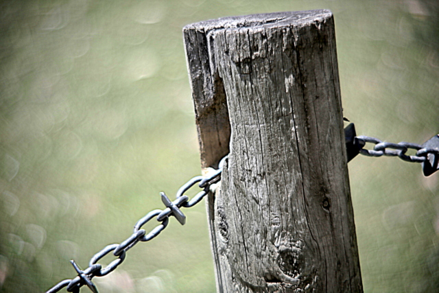 gumbuya park, victoria