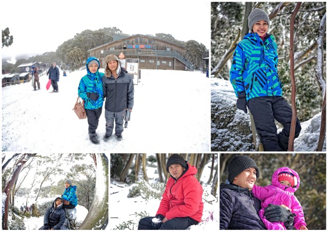 mt. baw baw, victoria, australia