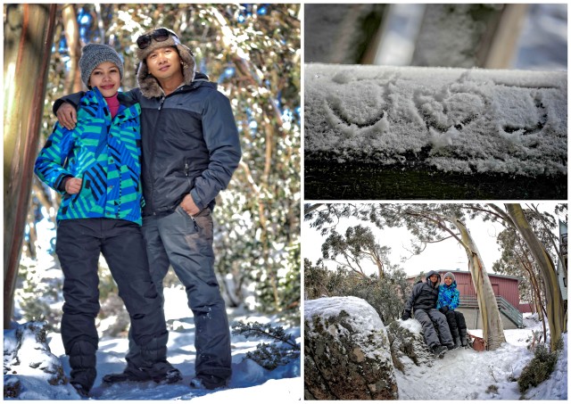 mt. baw baw, victoria, australia