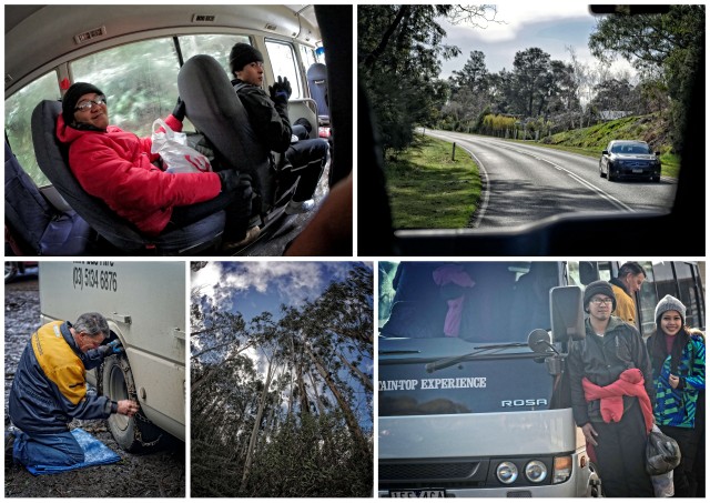 mt. baw baw, victoria, australia