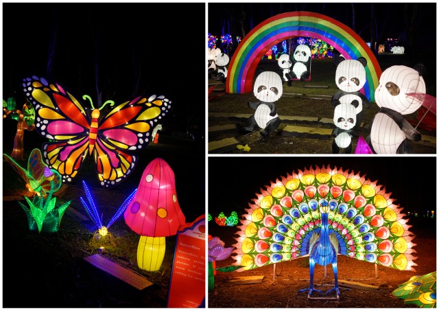dandenong festival of light