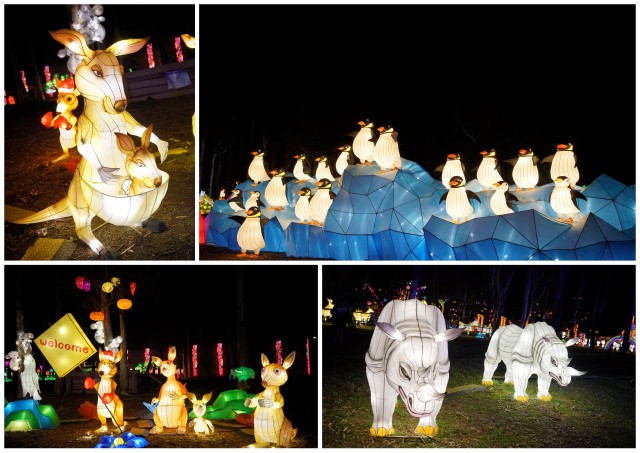 dandenong festival of light